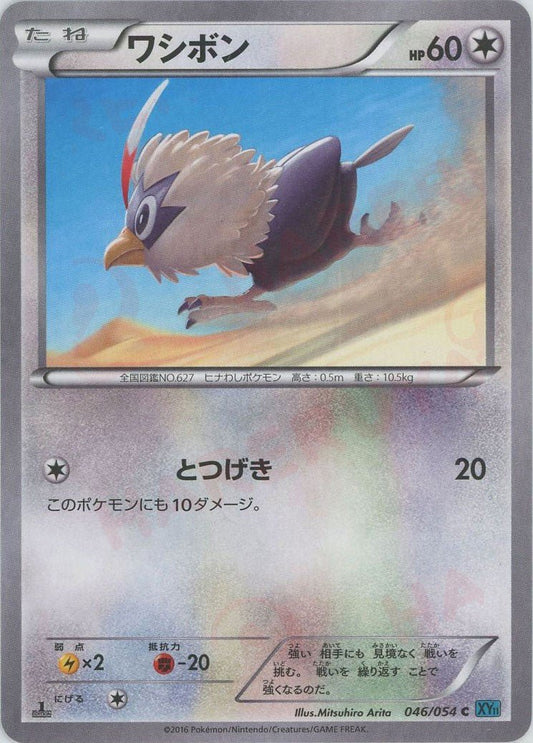 ワシボン(C){無}〈046/054〉[XY11-l] ｜ポケカ販売‧買取｜ 晴れる屋2