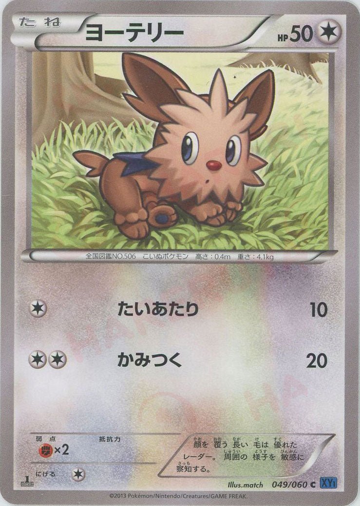 ヨーテリー(C){無}〈049/060〉[XY1-b] ｜ポケカ販売‧買取｜ 晴れる屋2