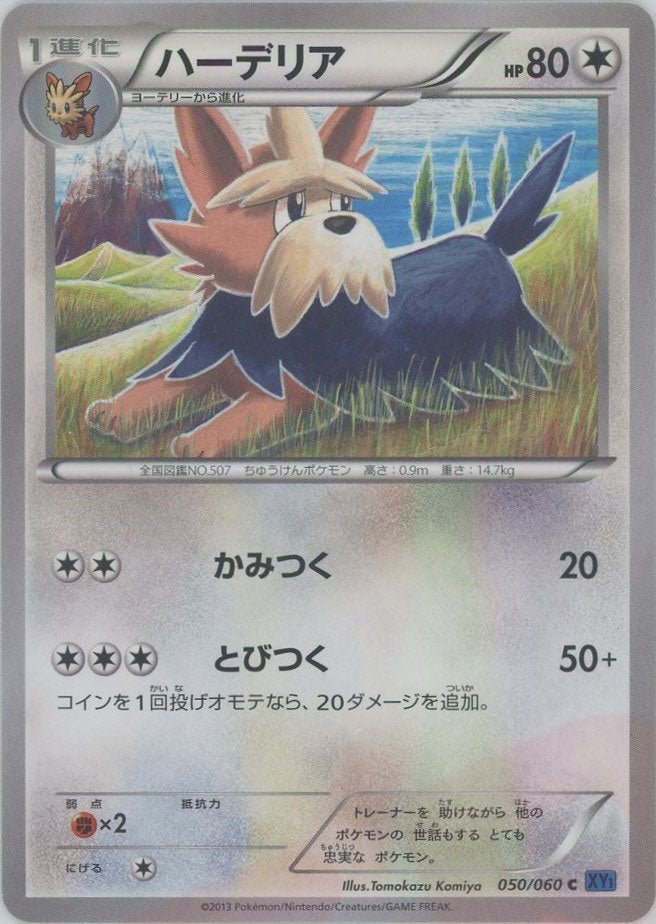 ハーデリア(C){無}〈050/060〉[XY1-b] ｜ポケカ販売‧買取｜ 晴れる屋2