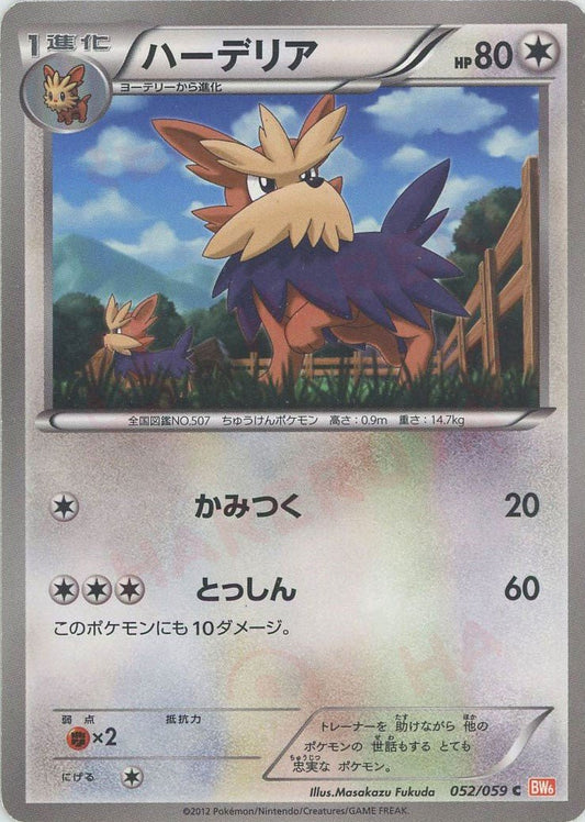 ハーデリア(C){無}〈052/059〉[BW6-r] ｜ポケカ販売‧買取｜ 晴れる屋2