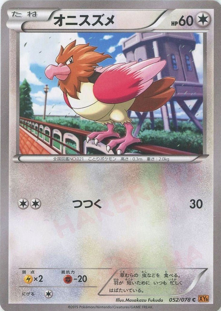 オニスズメ(C){無}〈052/078〉[XY6] ｜ポケカ販売‧買取｜ 晴れる屋2