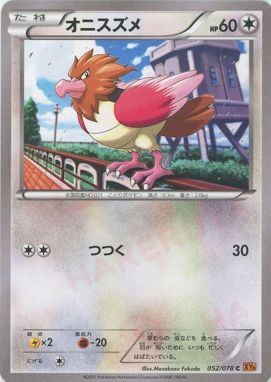オニスズメ(C){無}〈052/078〉[XY6] ｜ポケカ販売‧買取｜ 晴れる屋2