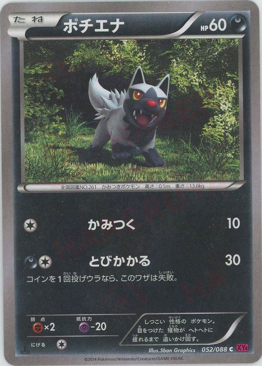 ポチエナ(C){悪}〈052/088〉[XY4] ｜ポケカ販売‧買取｜ 晴れる屋2