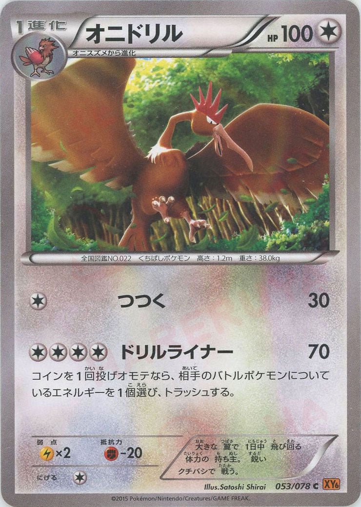 オニドリル(C){無}〈053/078〉[XY6] ｜ポケカ販売‧買取｜ 晴れる屋2