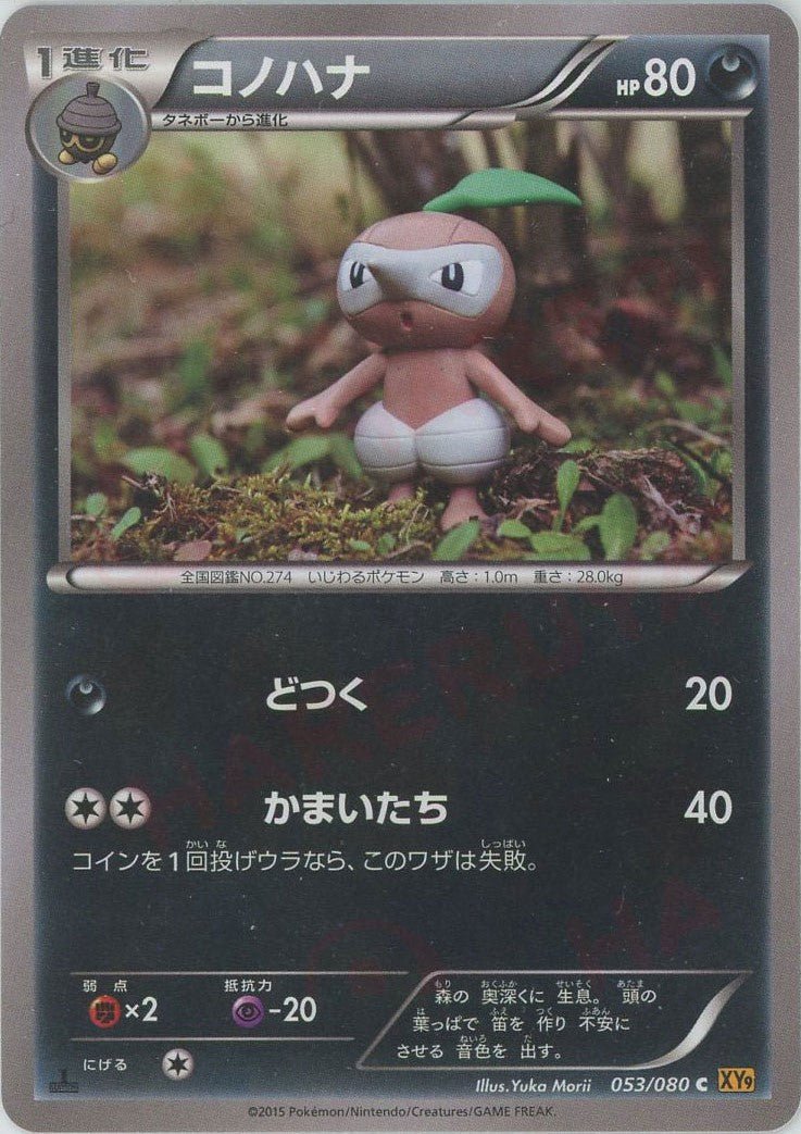 コノハナ(C){悪}〈053/080〉[XY9] ｜ポケカ販売‧買取｜ 晴れる屋2