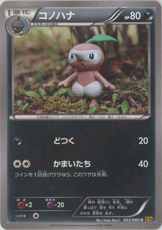 コノハナ(C){悪}〈053/080〉[XY9] ｜ポケカ販売‧買取｜ 晴れる屋2