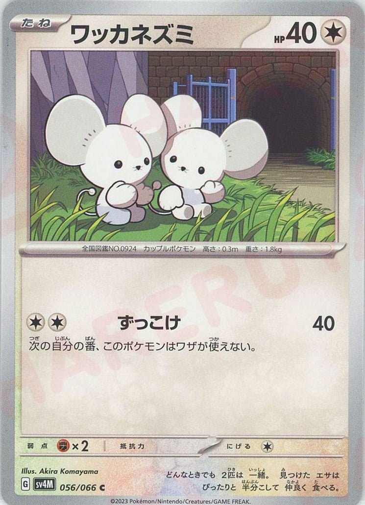 ワッカネズミ(C){無}〈056/066〉[SV4M] ｜ポケカ販売‧買取｜ 晴れる屋2