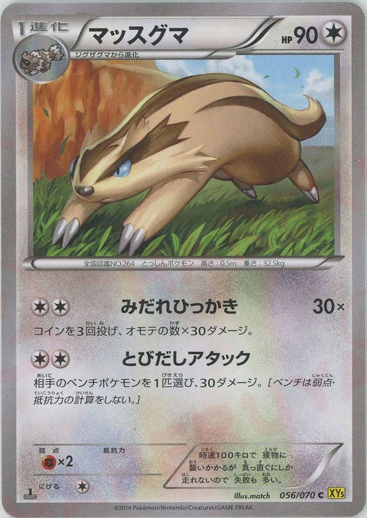 マッスグマ(C){無}〈056/070〉[XY5-y] ｜ポケカ販売‧買取｜ 晴れる屋2