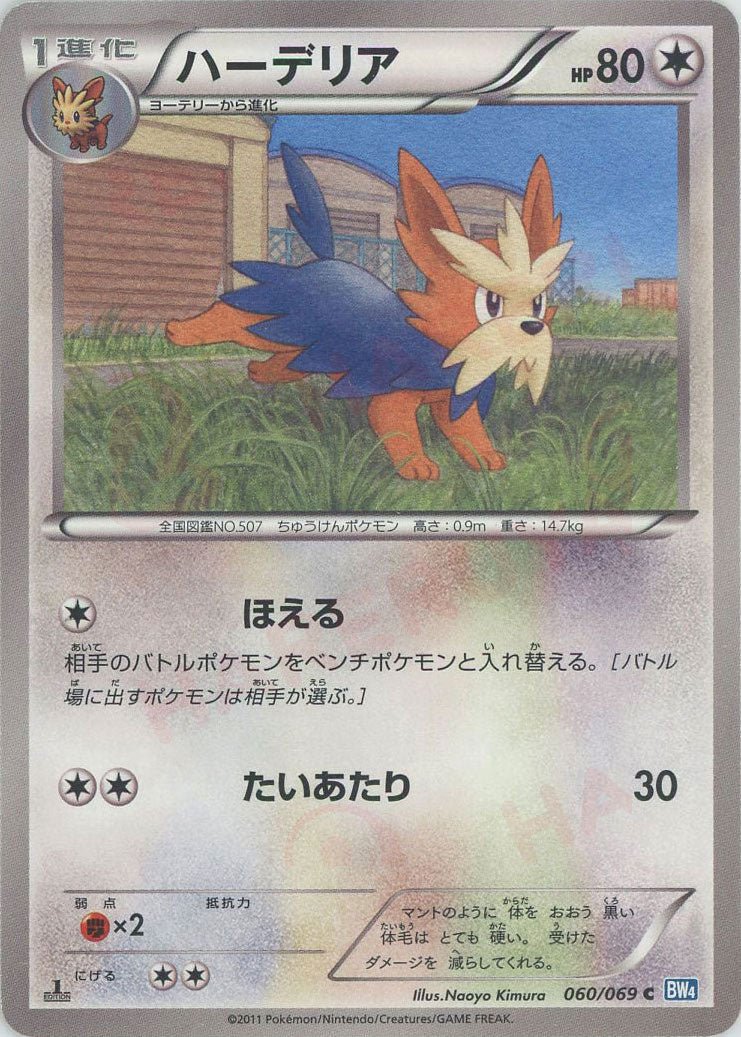 ハーデリア(C){無}〈060/069〉[BW4] ｜ポケカ販売‧買取｜ 晴れる屋2