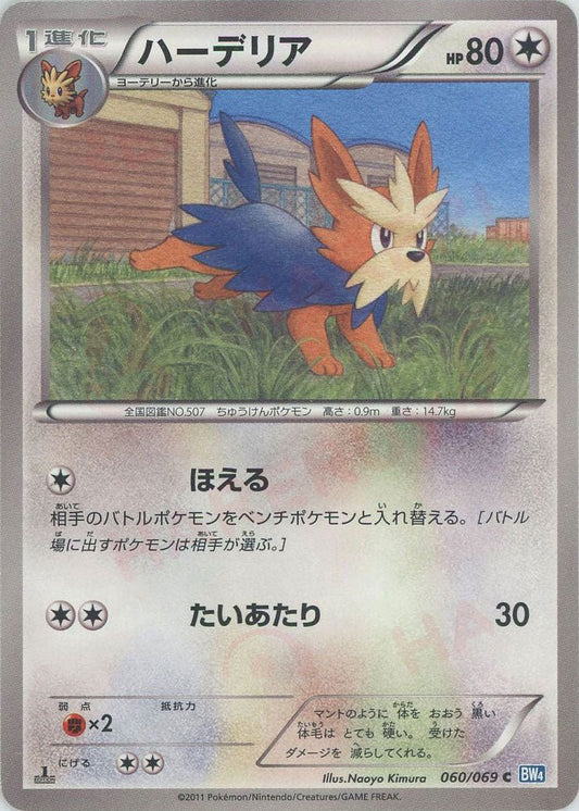 ハーデリア(C){無}〈060/069〉[BW4] ｜ポケカ販売‧買取｜ 晴れる屋2