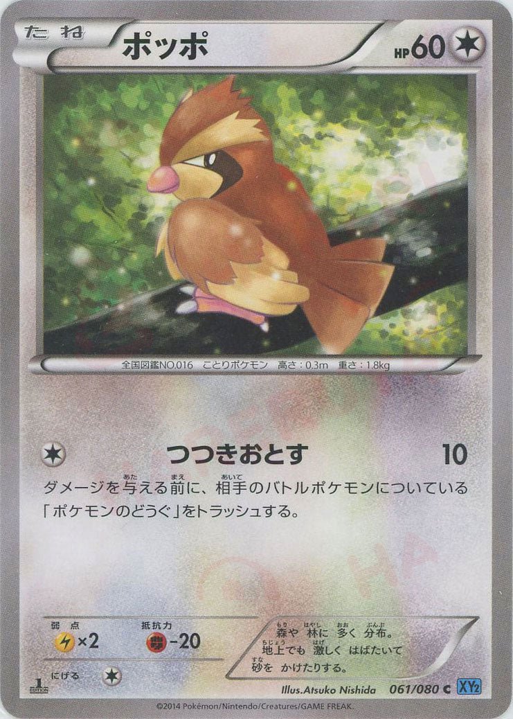 ポッポ(C){無}〈061/080〉[XY2] ｜ポケカ販売‧買取｜ 晴れる屋2