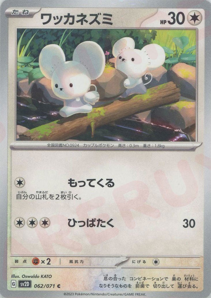 ワッカネズミ(C){無}〈062/071〉[SV2D] ｜ポケカ販売‧買取｜ 晴れる屋2