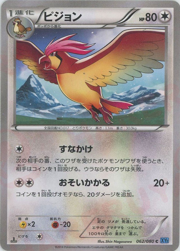ピジョン(C){無}〈062/080〉[XY2] ｜ポケカ販売‧買取｜ 晴れる屋2
