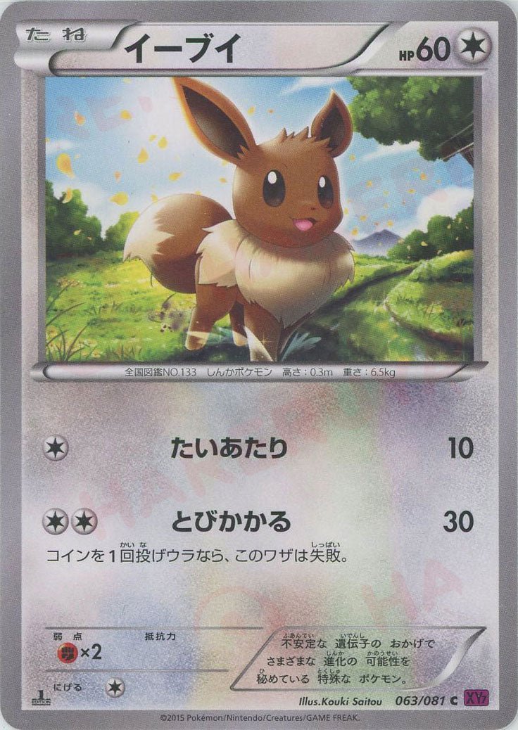 イーブイ(C){無}〈063/081〉[XY7] ｜ポケカ販売‧買取｜ 晴れる屋2