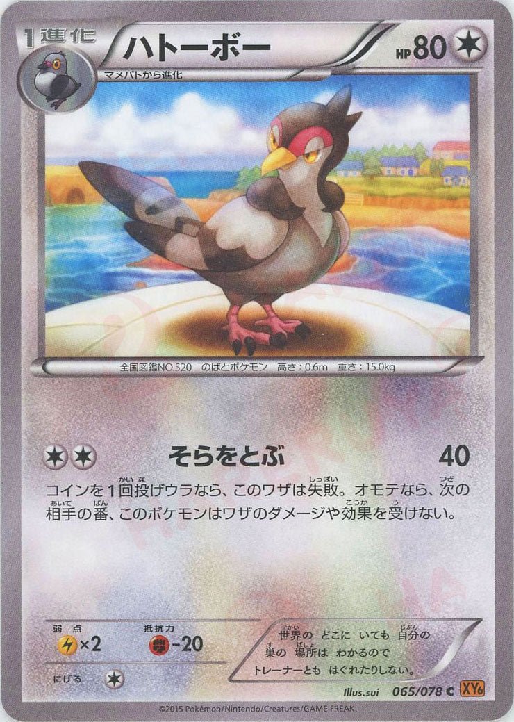 ハトーボー(C){無}〈065/078〉[XY6] ｜ポケカ販売‧買取｜ 晴れる屋2