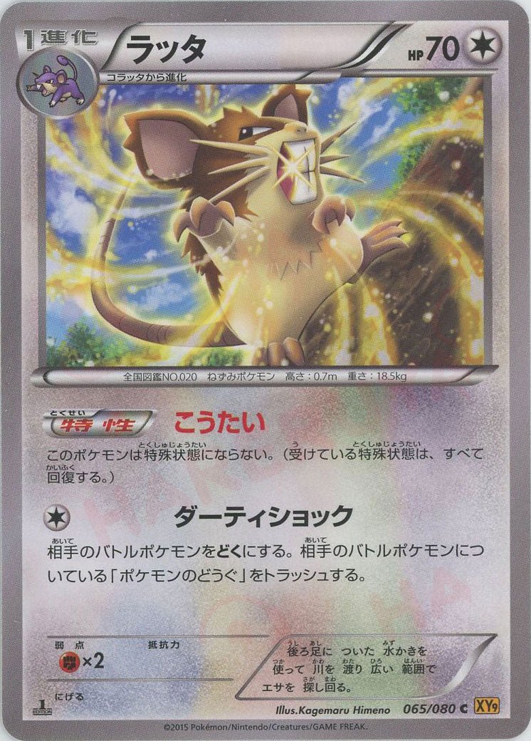ラッタ(C){無}〈065/080〉[XY9] ｜ポケカ販売‧買取｜ 晴れる屋2