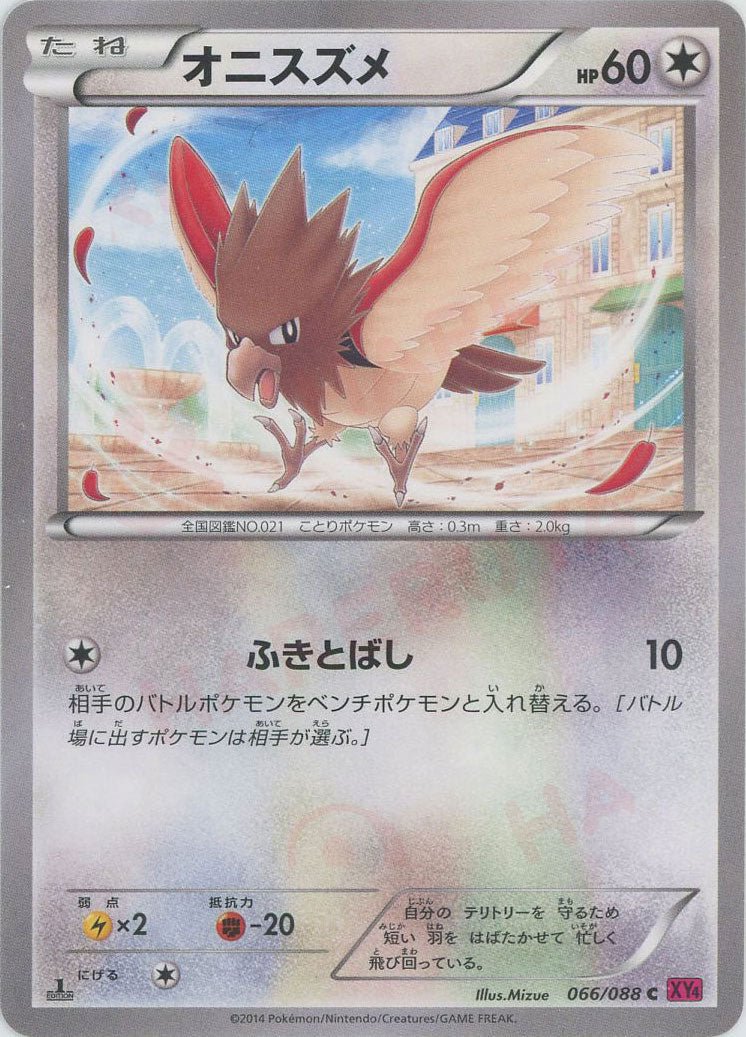 オニスズメ(C){無}〈066/088〉[XY4] ｜ポケカ販売‧買取｜ 晴れる屋2