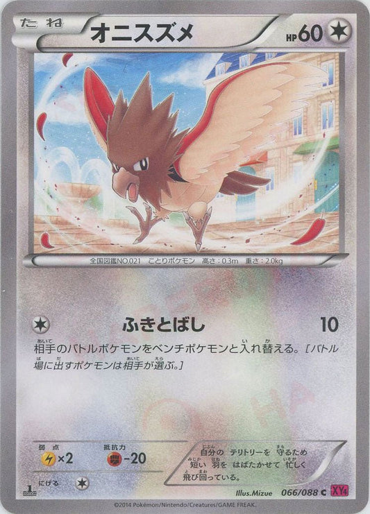 オニスズメ(C){無}〈066/088〉[XY4] ｜ポケカ販売‧買取｜ 晴れる屋2