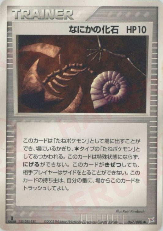 なにかの化石(C){トレーナー}〈067/080〉[ADEX] ｜ポケカ販売‧買取｜ 晴れる屋2