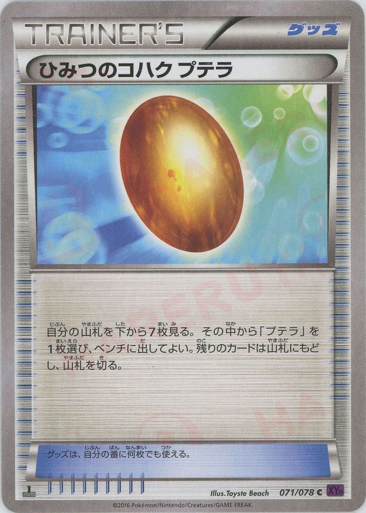 ひみつのコハク プテラ(C){グッズ}〈071/078〉[XY10] ｜ポケカ販売‧買取｜ 晴れる屋2
