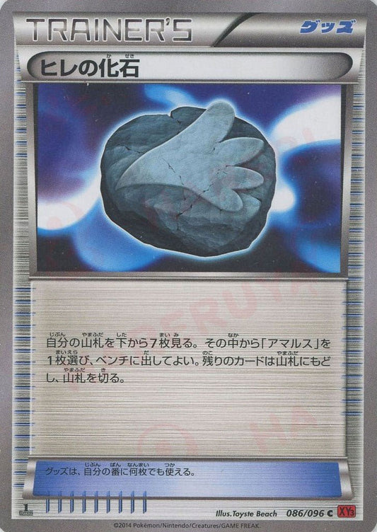 ヒレの化石(C){グッズ}〈086/096〉[XY3] ｜ポケカ販売‧買取｜ 晴れる屋2