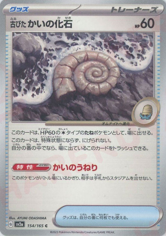 古びたかいの化石(C){グッズ}〈154/165〉[SV2a] ｜ポケカ販売‧買取｜ 晴れる屋2