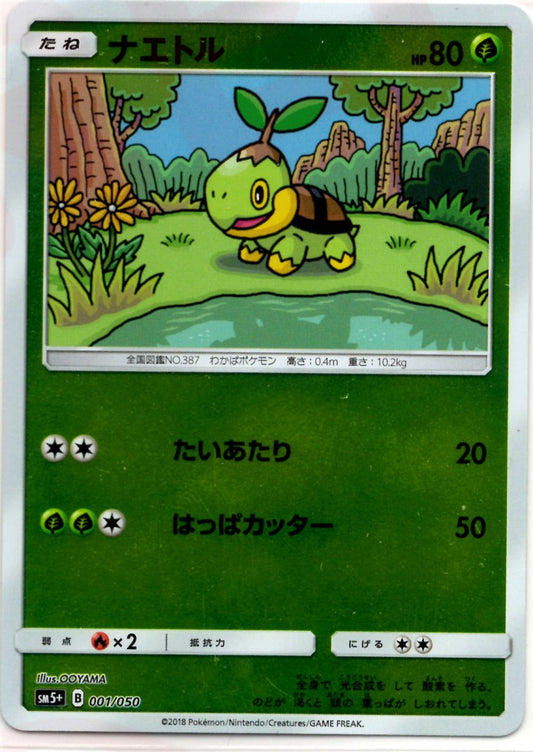 ナエトル(CP){草}〈001/050〉[SM5p] ｜ポケカ販売‧買取｜ 晴れる屋2