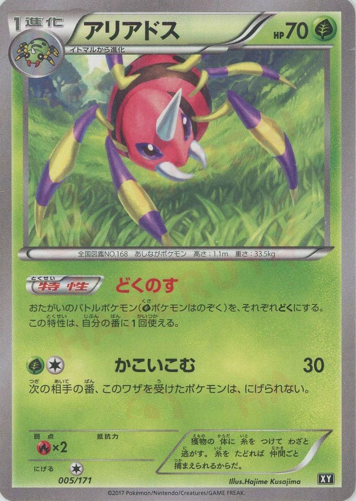 ハイクラスパック「THE BEST OF XY」 ｜販売‧買取｜最短即日発送