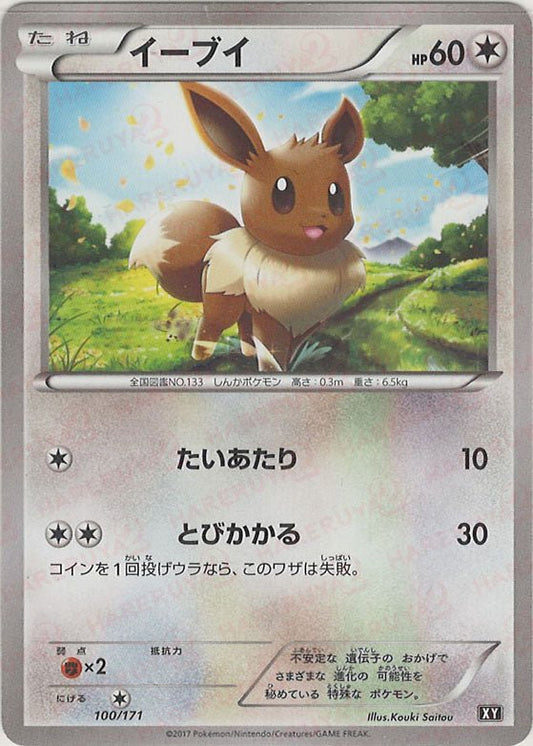 イーブイ(CP){無}〈100/171〉[XY/171] - 晴れる屋2