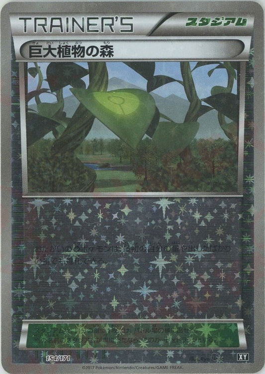 巨大植物の森:ミラー(CP){グッズ}〈154/171〉[XY/171-M] - 晴れる屋2