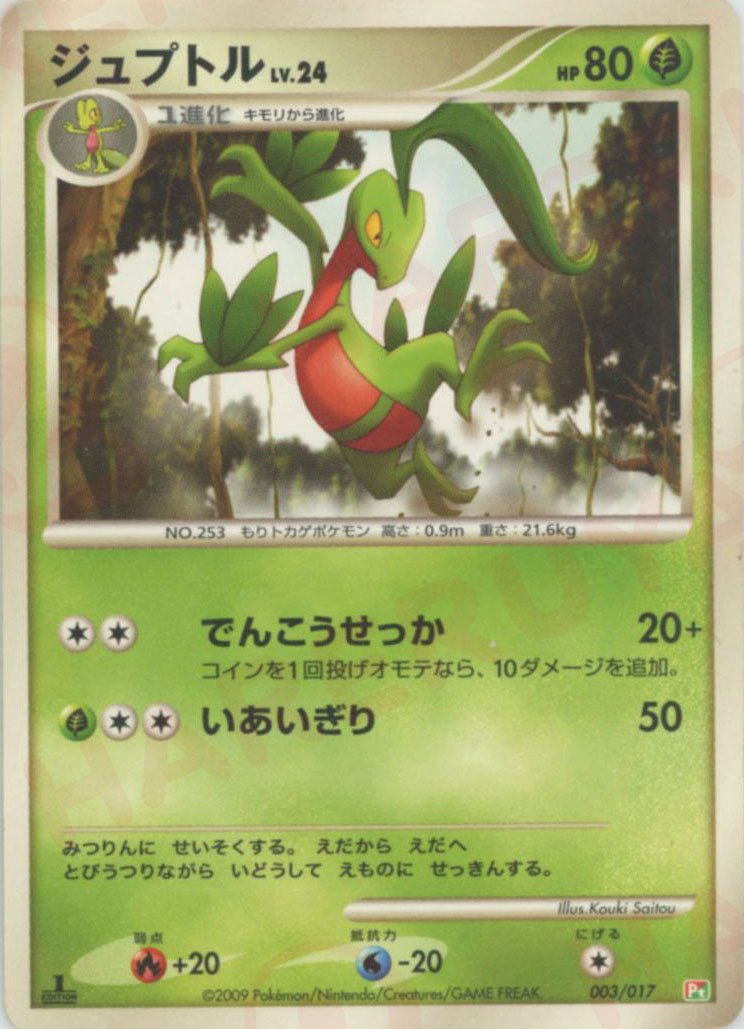 構築スタンダードデッキ「アルセウスLV.X 草&炎」 ｜ポケカ販売‧買取