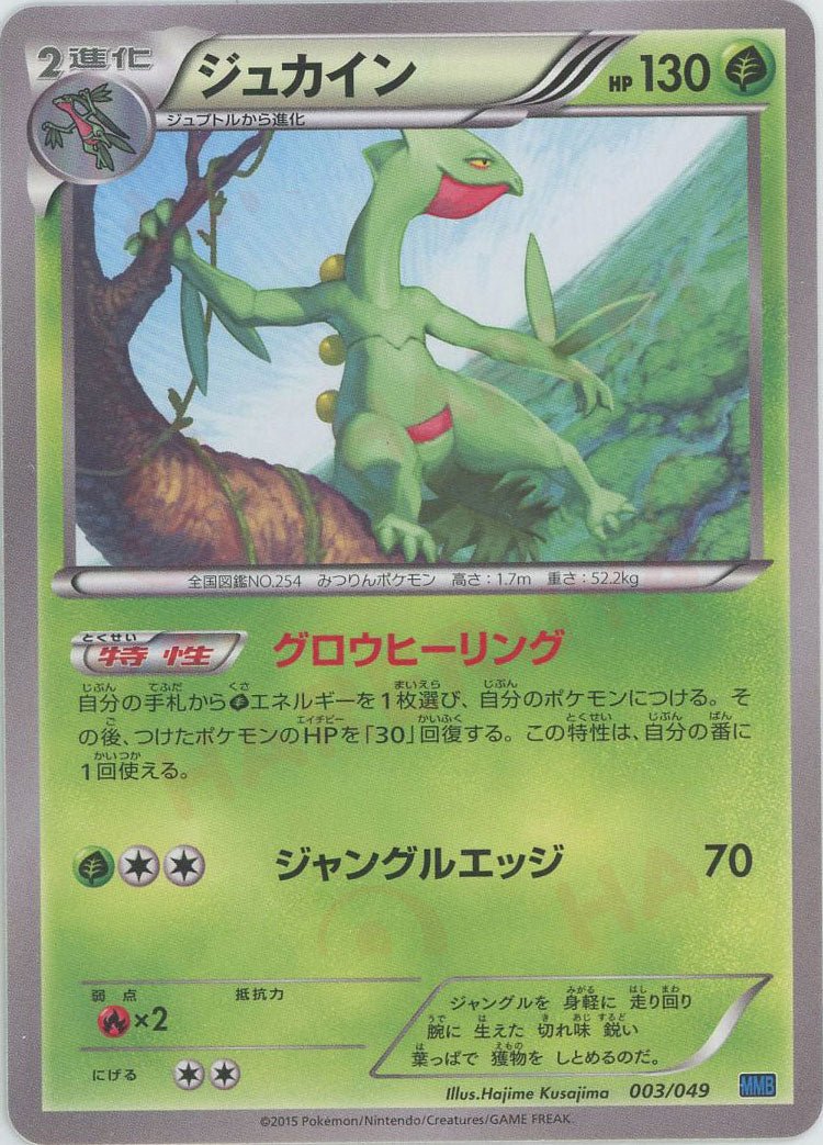 ジュカイン(D){草}〈003/049〉[MMB-b] ｜ポケカ販売‧買取｜ 晴れる屋2