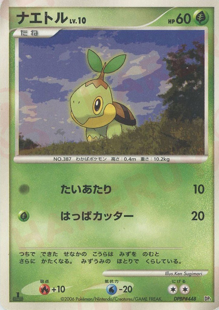エントリーパック DP ｜ポケカ販売‧買取｜最短即日発送｜ 晴れる屋2