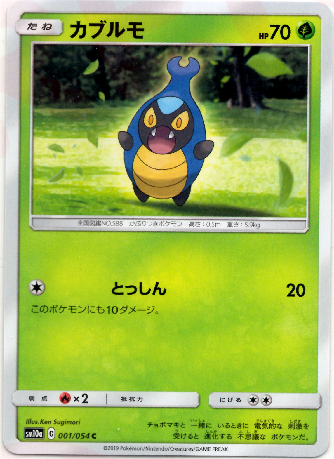 ゴンベ C SM10a ジージーエンド 040/054 ゴンベ C SM10a ジージーエンド 040/054 ゴンベ C SM10a