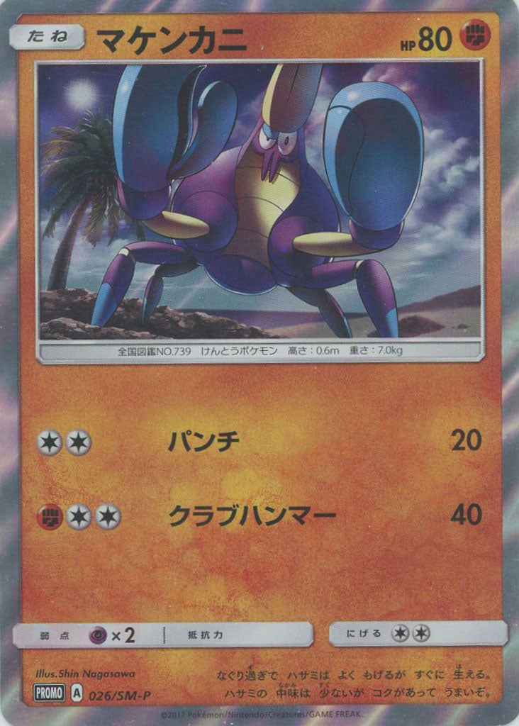 世界29枚 ロケット団のライコウex PSA10プロモカード バトル