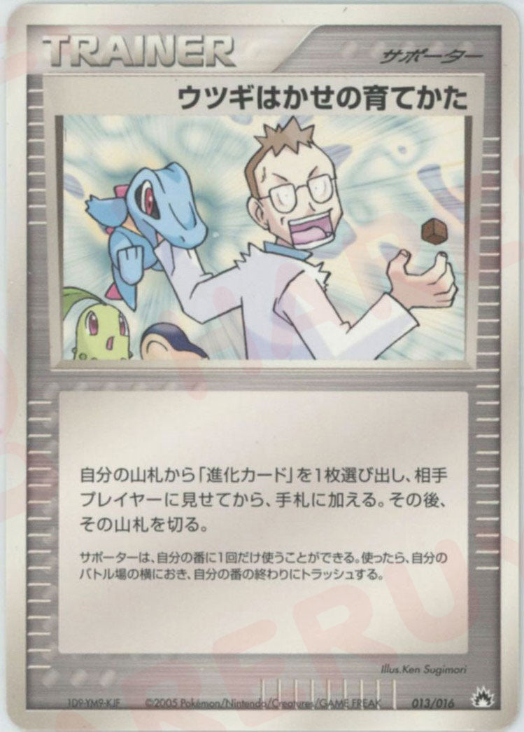 ウツギはかせの育てかた:バクフーン(D){サポーター}〈013/016〉[PSｰ3fr]