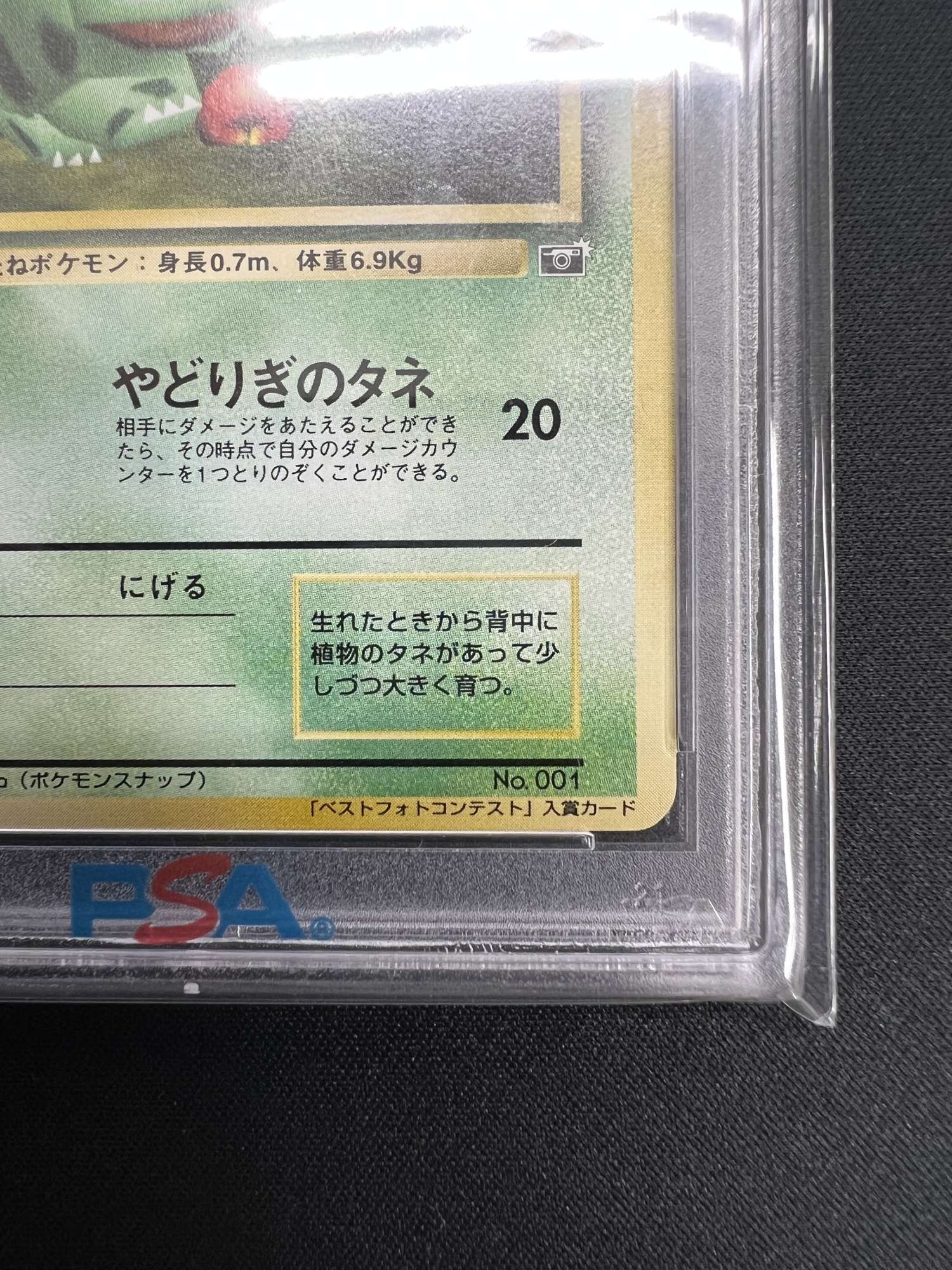 転*い様 ポケモンカードフシギダネ_ポケモンスナップ フシギダネ ポケモンスナップベストフォトコンテスト 小学館コロコロ