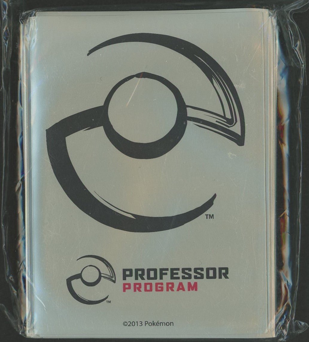 デッキシールド 海外 PROFESSOR PROGRAM:2013 - 晴れる屋2