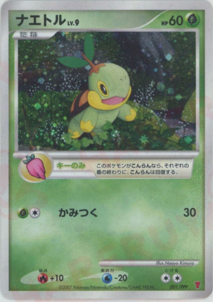 【未開封】プレイヤーズ　ナエトル　001/PPP プロモポケモンカード ナエトル(PROMO){草}〈001/PPP〉[DP-P] ｜販売‧買取｜ 晴れる屋2