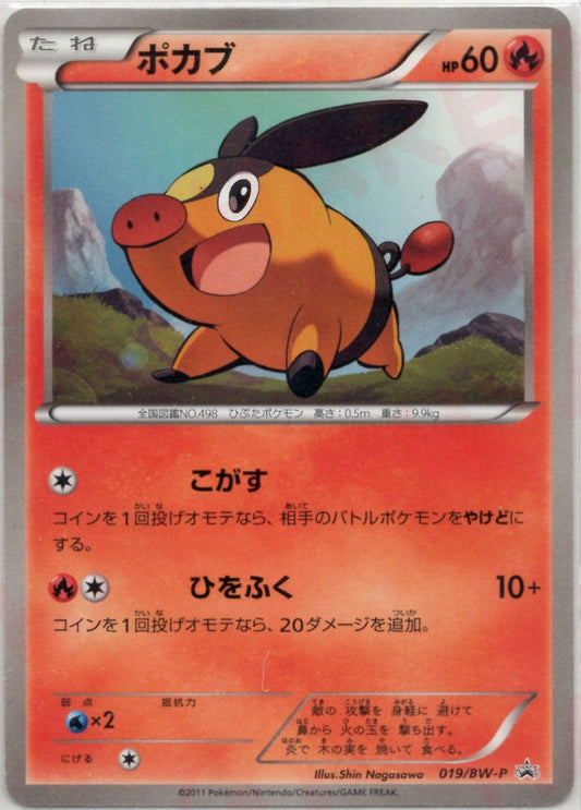 ポカブ(PROMO){炎}〈019/BW-P〉[BW-P] ｜ポケカ販売‧買取｜ 晴れる屋2