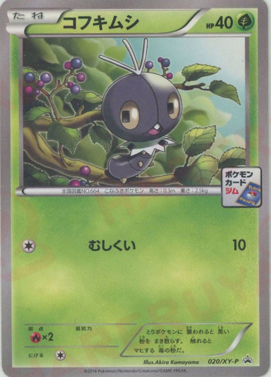 コフキムシ(PROMO){草}〈020/XY-P〉[XY-P] ｜ポケカ販売‧買取｜ 晴れる屋2