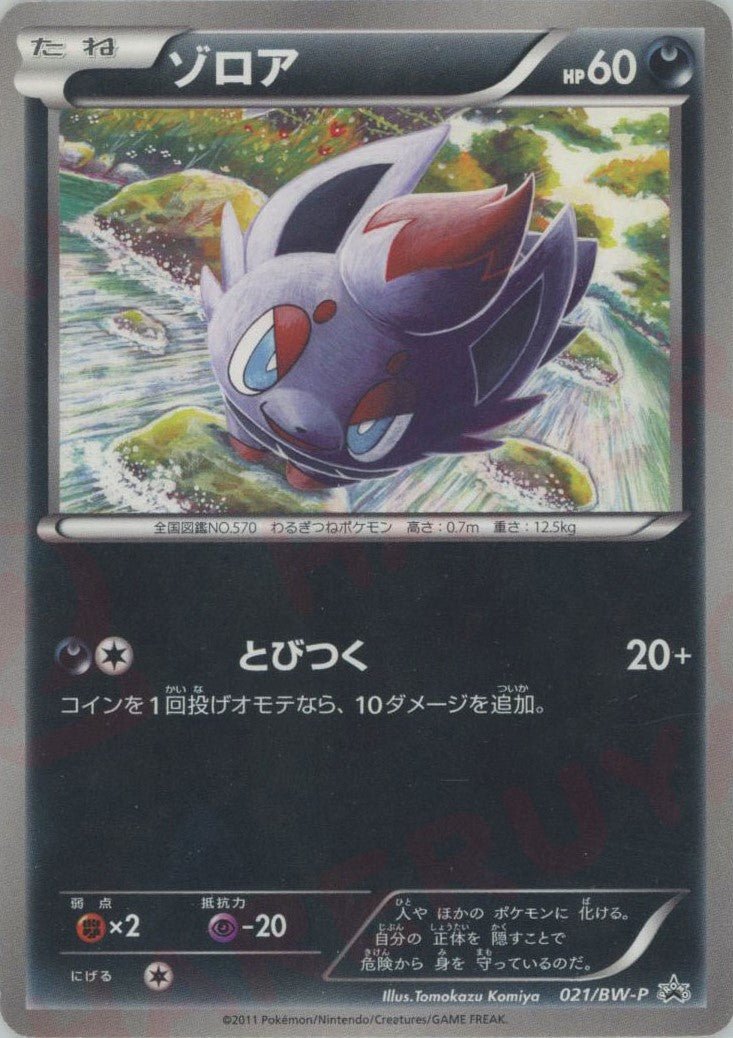 ゾロア(PROMO){悪}〈021/BW-P〉[BW-P] ｜ポケカ販売‧買取｜ 晴れる屋2
