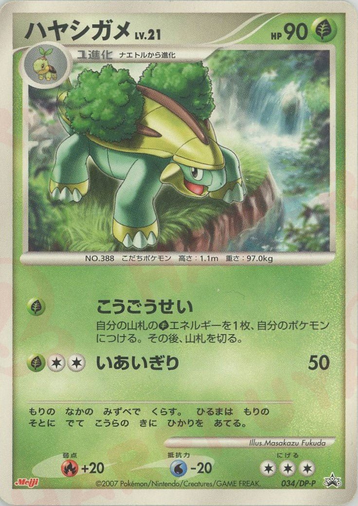 ハヤシガメ(PROMO){草}〈034/DP-P〉[DP-P] ｜ポケカ販売‧買取｜ 晴れる屋2