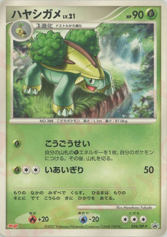 ハヤシガメ(PROMO){草}〈034/DP-P〉[DP-P] ｜ポケカ販売‧買取｜ 晴れる屋2