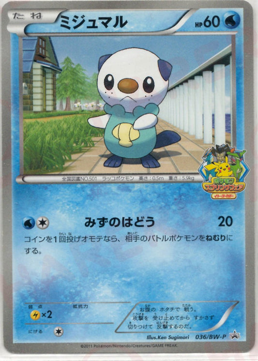 ミジュマル(PROMO){水}〈036/BW-P〉[BW-P] ｜ポケカ販売‧買取｜ 晴れる屋2