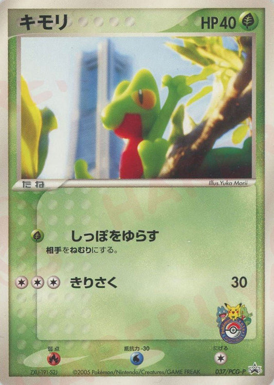 キモリ(PROMO){草}〈037/PCG-P〉[P-P] ｜ポケカ販売‧買取｜ 晴れる屋2
