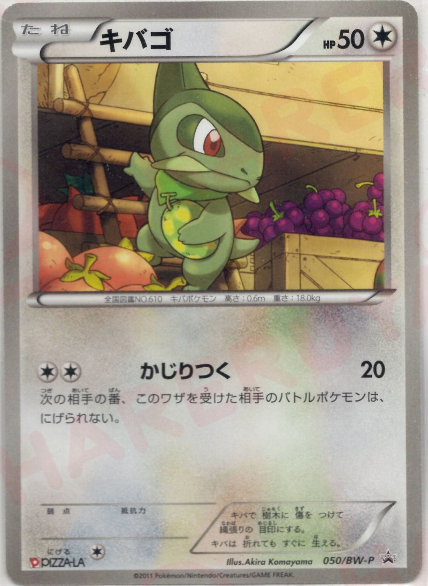 キバゴ(PROMO){無}〈050/BW-P〉[BW-P] ｜ポケカ販売‧買取｜ 晴れる屋2
