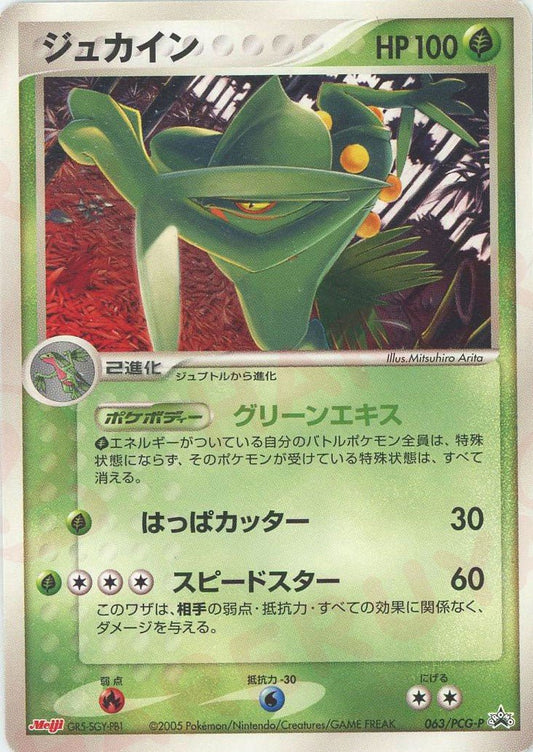 ジュカイン(PROMO){草}〈063/PCG-P〉[P-P] ｜ポケカ販売‧買取｜ 晴れる屋2