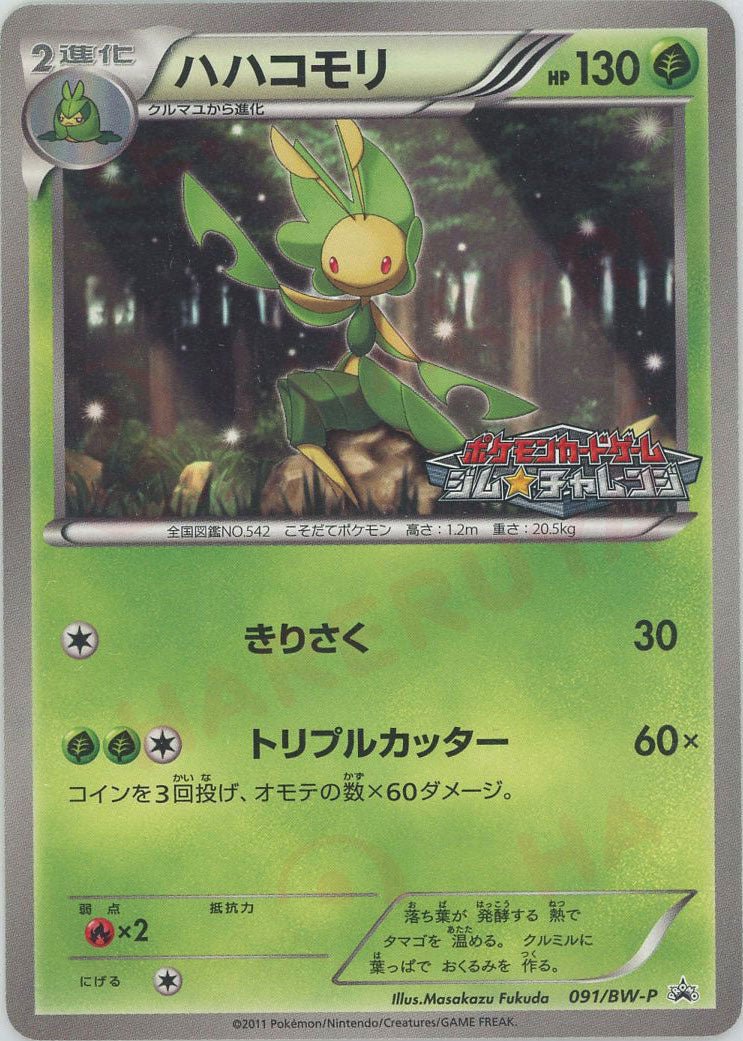 ハハコモリ(PROMO){草}〈091/BW-P〉[BW-P] ｜ポケカ販売‧買取｜ 晴れる屋2