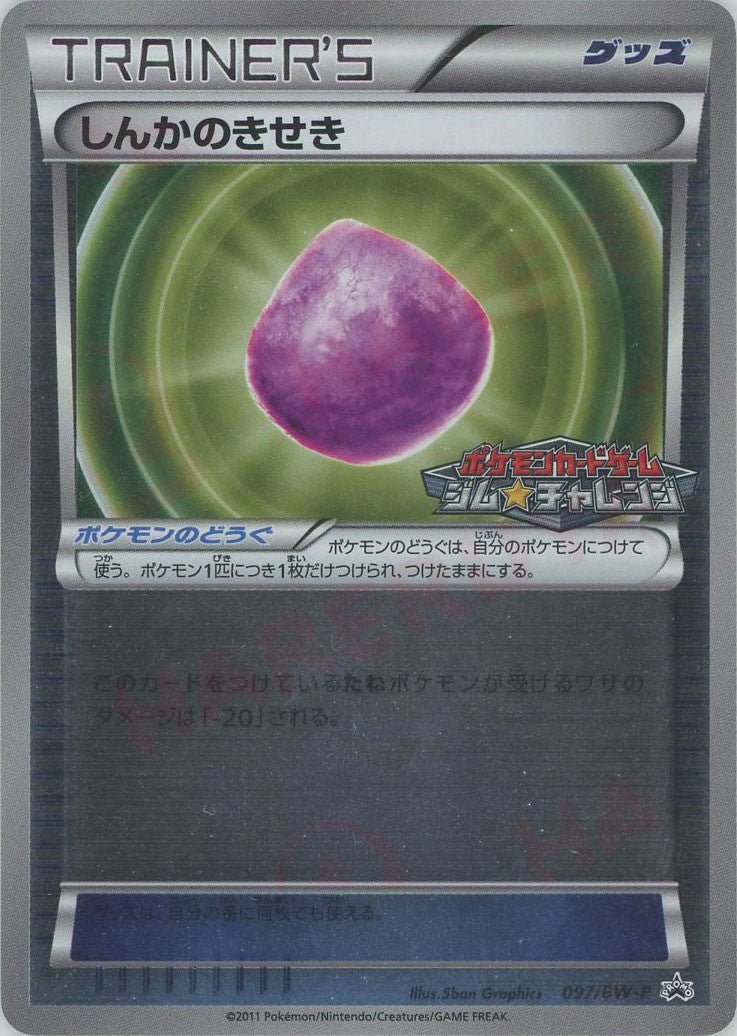 しんかのきせき(PROMO){グッズ}〈097/BW-P〉[BW-P] ｜ポケカ販売‧買取｜ 晴れる屋2